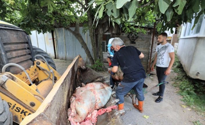 Başiskele’de kurban atıkları anında toplanıyor