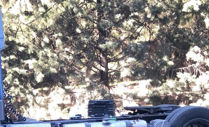 Beylikdüzü’nde yabancı plakalı bir tır üzerinde bulunan ve üzerinde yazılar olan bir bavul polisi harekete geçirdi. Polis ekipleri çevrede önlem alırken tedbir amaçlı bomba imha uzmanı bölgeye çağrıldı.