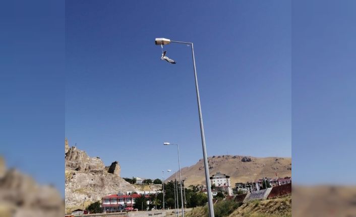 Bitlis’te yere atılan maske martının ayağına takılmasıyla konduğu direkte mahsur kaldı