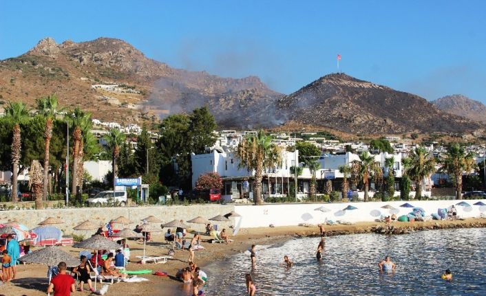 Bodrum’daki yangın 4 saatte kontrol altına alındı, 50 hektarlık alan kül oldu