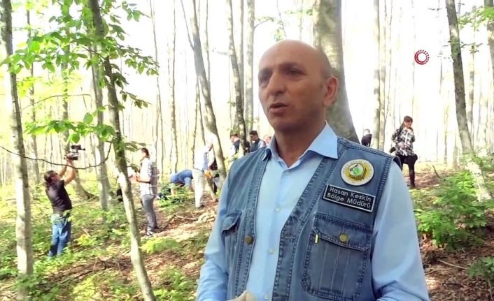 Bölge Müdürü Keskin: "Orman yangınlarıyla ilgili tüm tedbirleri almış durumdayız"