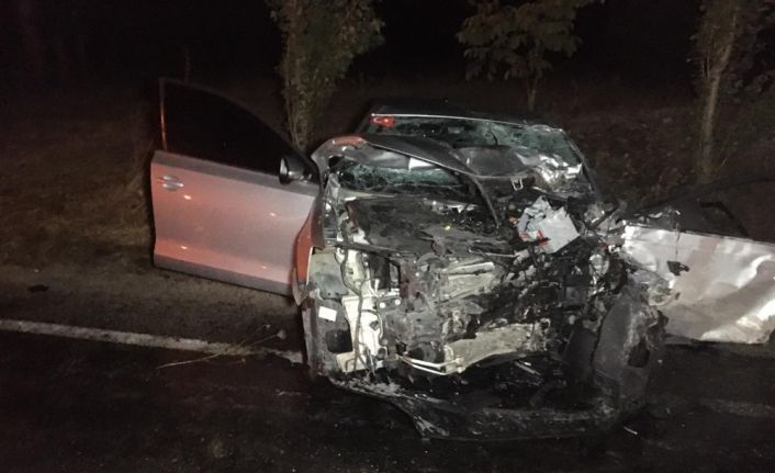 Denizli’de son bir hafta içerisinde 2’si ölümlü 147 trafik kazası meydana geldi