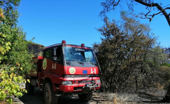 Dün küle dönen ormanlık alanda tekrardan yangın ihbarı ekipleri harekete geçirdi