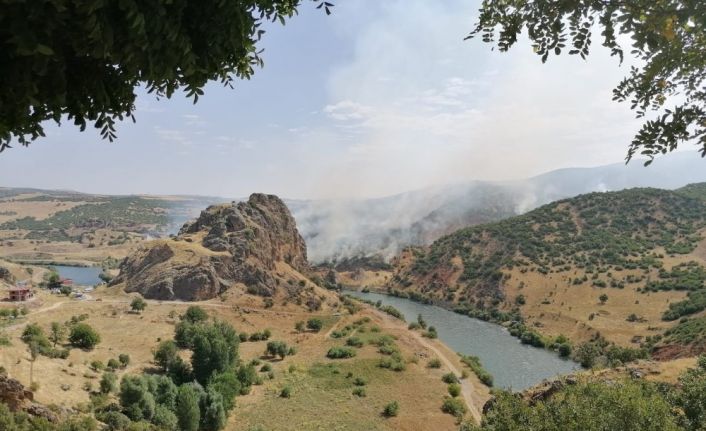 Elazığ’da ki orman yangını söndürüldü, 150 dönüm alan zarar gördü