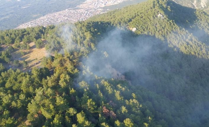 Hızla kontrol altına alınan orman yangınında 2 dekarlık alan zarar gördü
