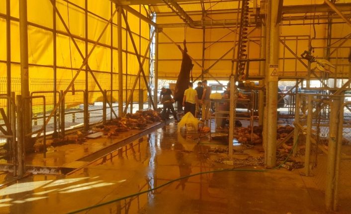 İBB kurban kesim alanında kasaplar kaçtı, vatandaş kendi kurbanını kendi kesti