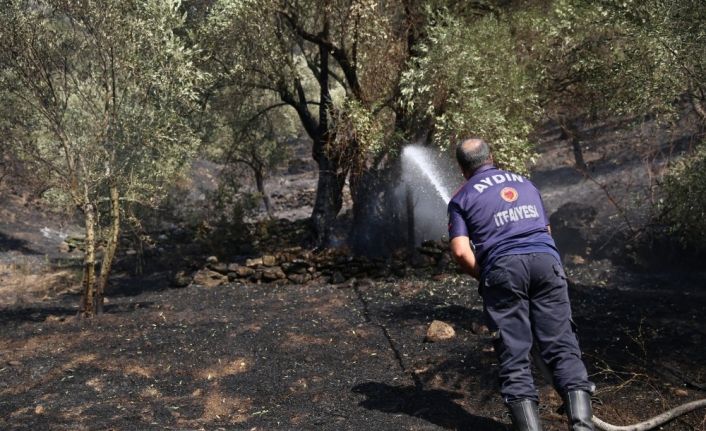 İtfaiye Daire Başkanı Adanır; "Yangın söndürme ve soğutma çalışmaları sürüyor"