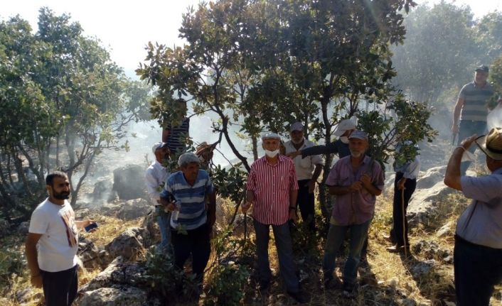 Kulp’ta orman yangını vatandaş, itfaiye ve güvenlik kuvvetleri tarafından söndürdü