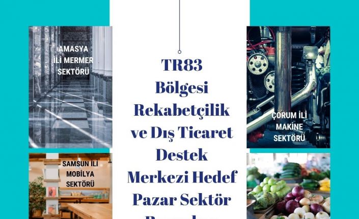 OKA 4 il için hedef pazar sektör raporları hazırladı