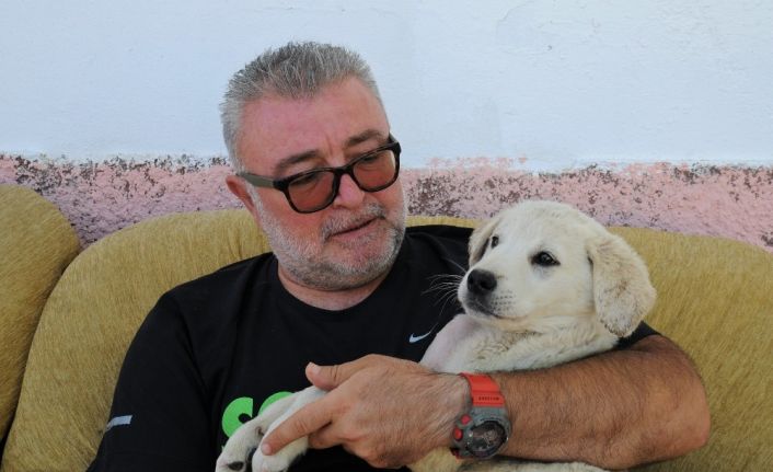 (Özel) Atın tekmesiyle yaralanan sevimli dostuna baba şefkati ile bakıyor