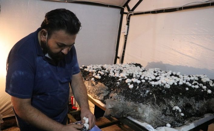 Sağlık sorunları nedeniyle başladığı işten 50 günde 25 bin TL kazanıyor