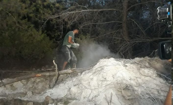 Suriyeli Hasan, orman yangınını avuçlarıyla taşıdığı kumla söndürmeye çalıştı