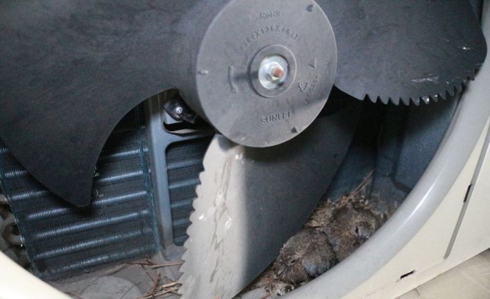 Tamir etmek için getirdiği klimanın içinden çıkanları görünce şoke oldu