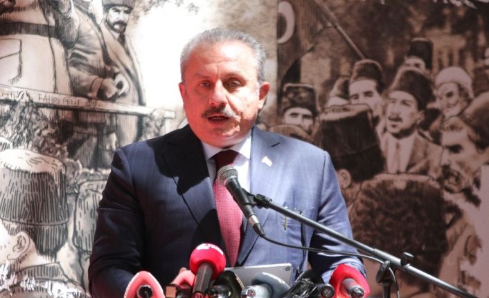 TBMM Başkanı Şentop: “Fransa’nın özür dilemesi için bir yüzyıl daha gerekli”