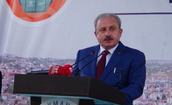 TBMM Başkanı Şentop’tan Yunanistan’a tepki: “Gereken karşılığı sonuna kadar vermeye muktediriz”
