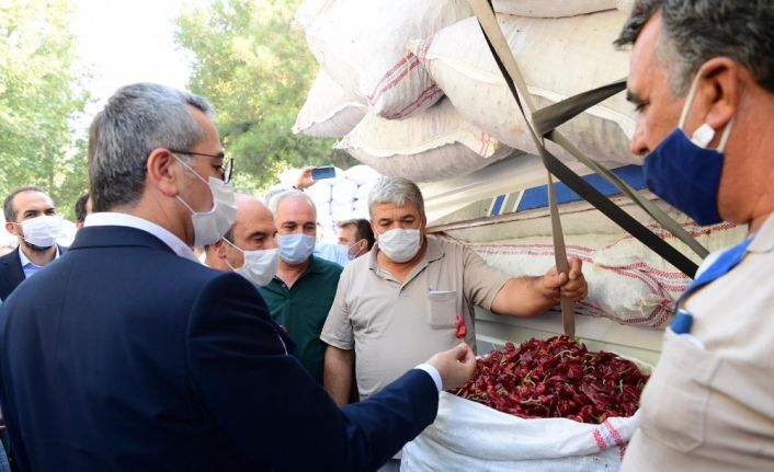 Tescilli "Maraş biberi" pazara indi