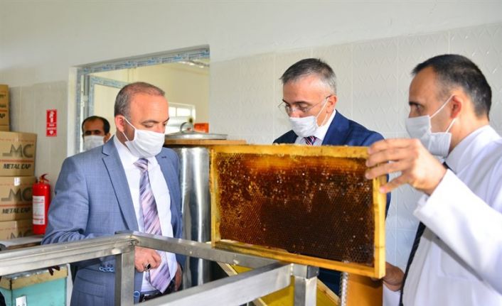 Vali Hüseyin Öner, Kafkas Arısı Üretim Eğitim ve Gen Merkezi Müdürlüğünü ziyaret ederek brifing aldı