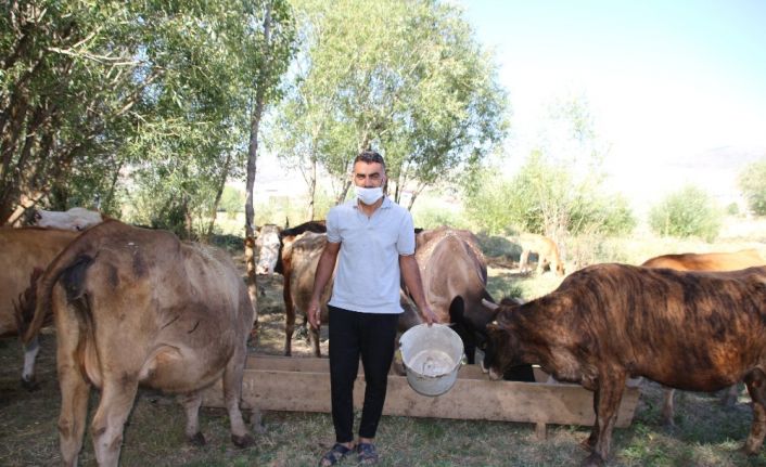 Varto’da genç çiftçi, kiraladığı ahır satılınca hayvanları ile birlikte dışarıda kaldı