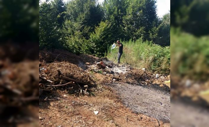 Yakılarak ormanlık alana dökülen fındık atıkları faciaya yol açıyordu