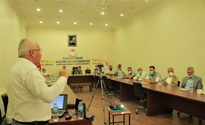 Yılda 110 bin ton bal üretiyoruz, 80 binini tüketiyoruz