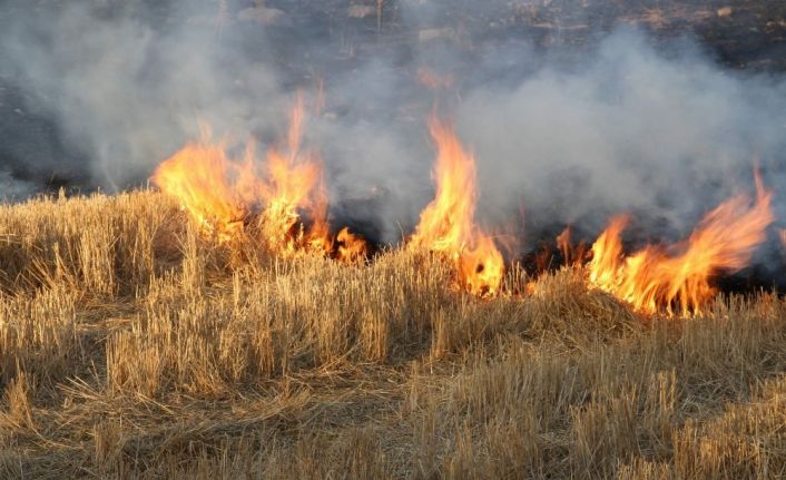 Yozgat’ta anız yakan 6 çiftçiye 4 bin 453 lira ceza kesildi