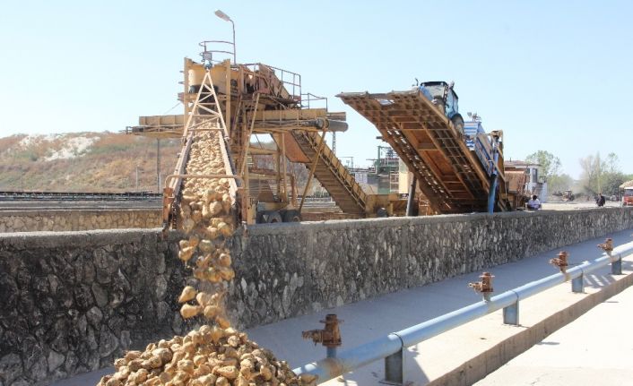 2 bin 266 çiftçinin geçim kaynağı olan pancar alım kampanyası başladı