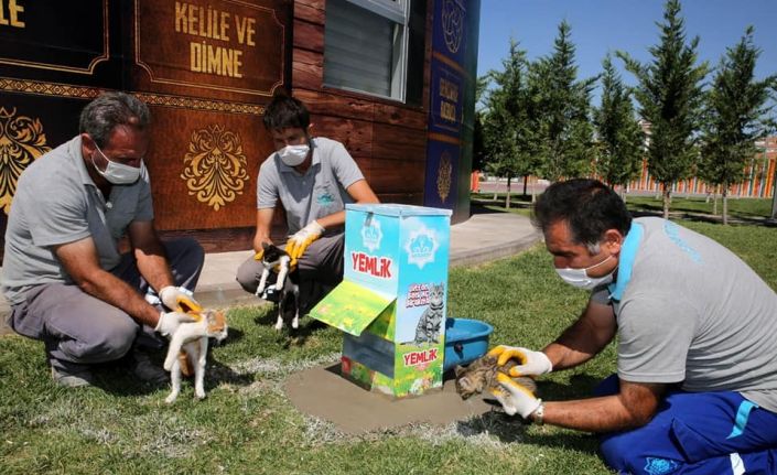 Aksaray’da sokak hayvanları için yemliklere mama ve su takviyesi yapılıyor