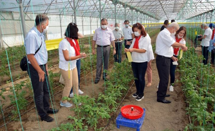 Aydın’da kadın çiftçilere uygulamalı eğitim verildi
