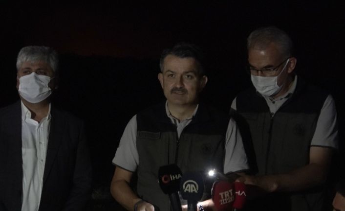 Bakan Pakdemirli: “Hatay yangınında can kaybımız yok, müdahale devam ediyor”