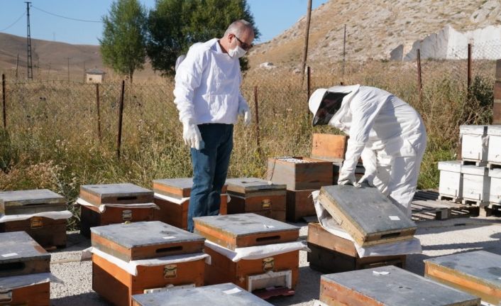 Bayburt Üniversitesinde coğrafi işaretli Bayburt Balının sağımına başlandı