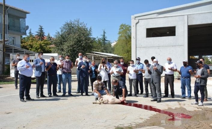 Beylikova’da hizmet araçları ve yatırımların kazasız belasız bitmesi için kurban kesildi