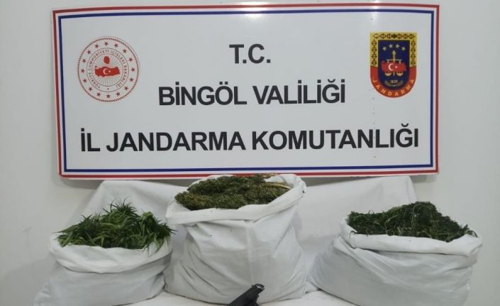 Bingöl’de 6,5 kilo esrar ile bin 688 kök kenevir ele geçirildi