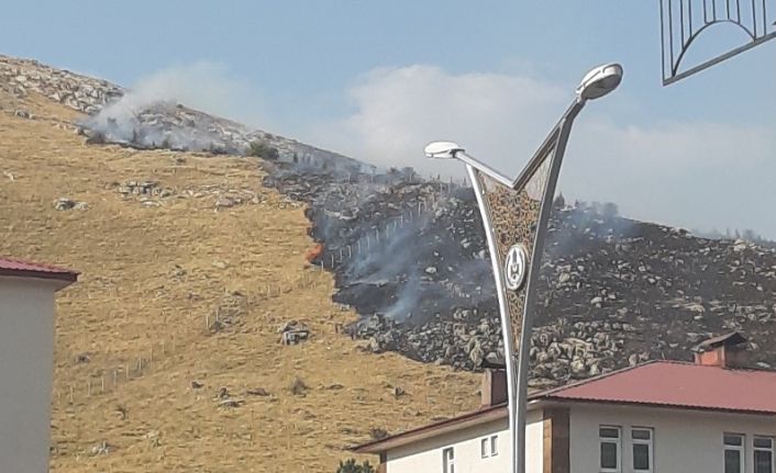 Bitlis’te 100 hektarlık alan küle döndü
