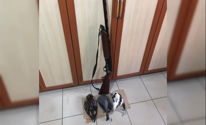 Bitlis’te kaçak avlananlara ceza