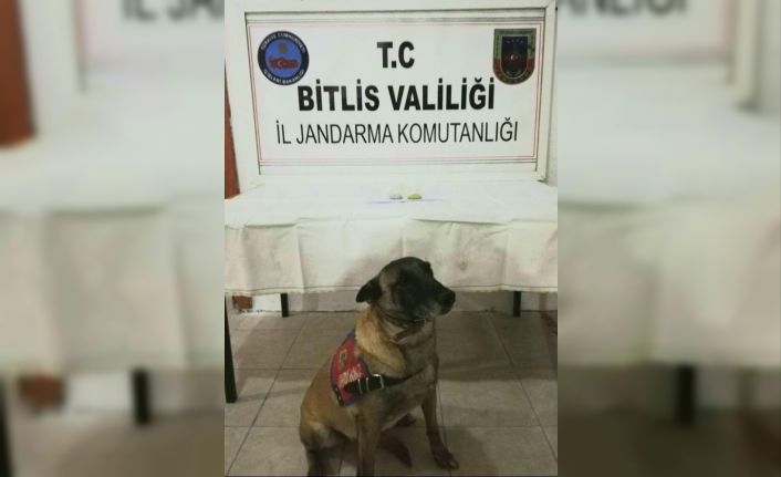 Bitlis’te Metanfetamin ele geçirildi