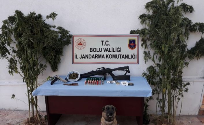 Bolu’da 1 ay içinde 33 kilo esrar, 327 gram eroin yakalandı