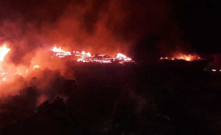 Bolu’da yaylada çıkan yangında 2 ev, 2 ahır ve samanlık yandı