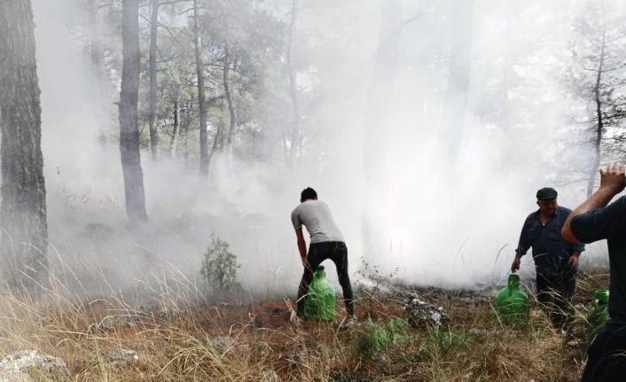 Çalıyı çırpıyı alan köylüler yangına koştu, kadınlar traktör ile su taşıdı