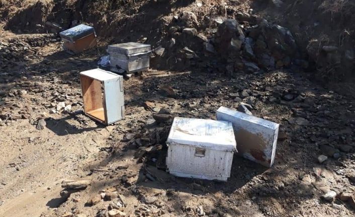 Denizli’de etkili olan sağanak arıcılık yapan vatandaşı mağdur etti