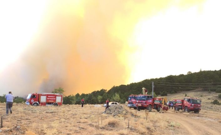 Denizli’deki orman yangınına havadan ve karadan müdahale devam ediyor