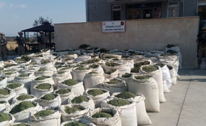Diyarbakır’da son 9 ayda 97 milyon kök kenevir ve 42 ton esrar ele geçirildi