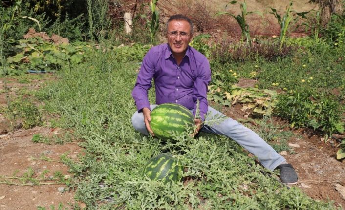 Hakkari karpuzu Diyarbakır’a rakip oldu