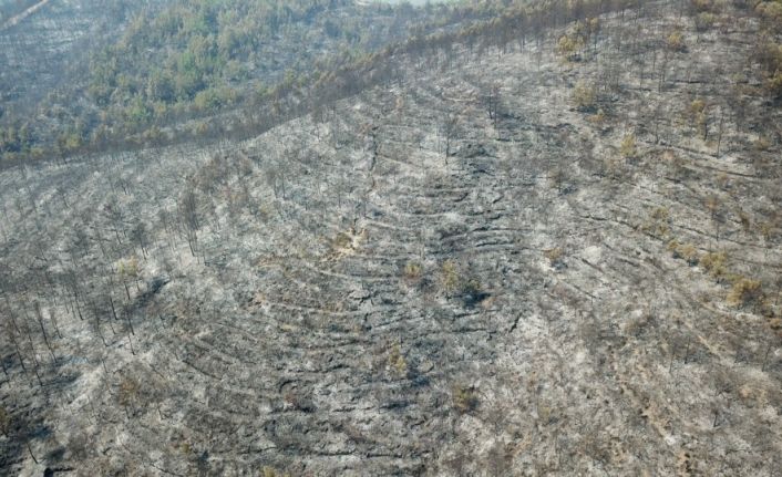 Hatay’daki yangında zarar gören orman alanları drone ile görüntülendi
