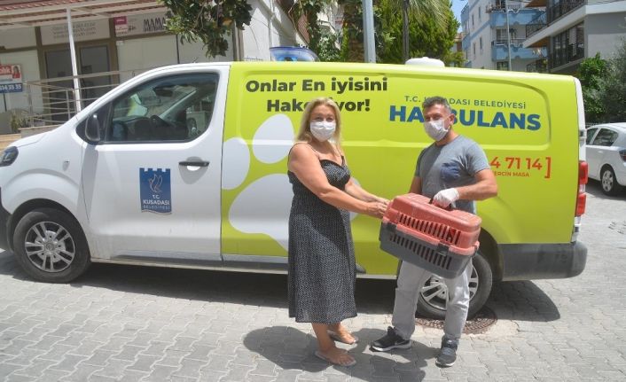 Haybulans, sokak hayvanları için 8 ayda 83 bin kilometre yol yaptı