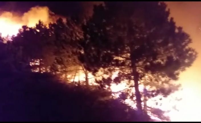 İzmir’deki orman yangını sonrası ağır bilanço: Onlarca hektar ormanlık alan küle döndü