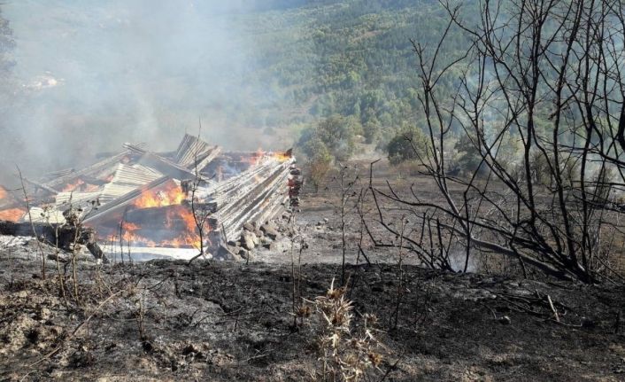 Kastamonu’da çıkan yangında 2 ev ve bir ambar kullanılamaz hale geldi