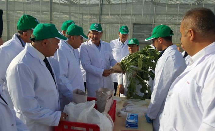 Kayseri Şeker Ar-Ge Merkezi’nin ortak olduğu uluslararası projeye Avrupa Komisyonu’ndan tam destek