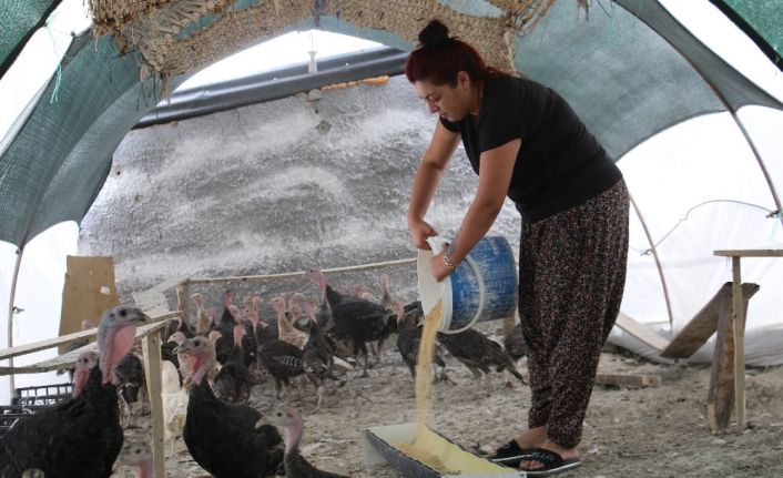 Kendi çiftliğini kurdu, bir yılda 200 bin adet tavuk ve hindi satışı yaptı