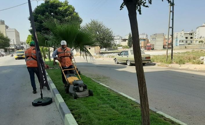Kilis’te caddelere son bahar bakımı