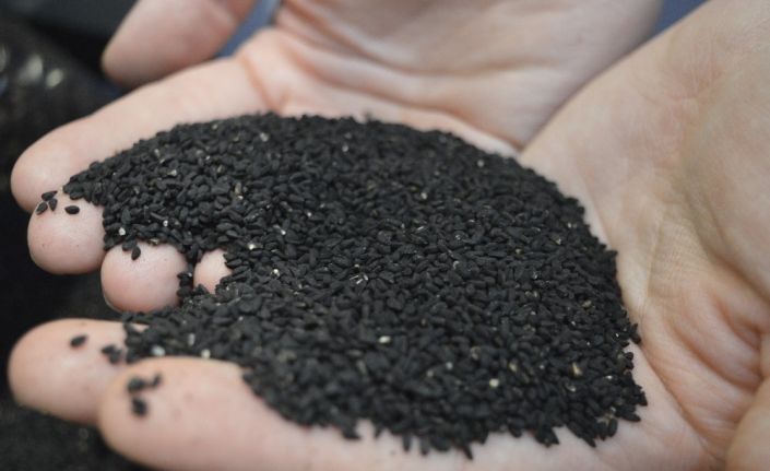 Korona virüsle birlikte çörek otu fiyatı 3’e katladı